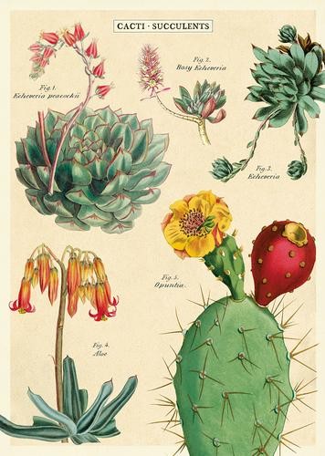 Vintage Poster Cacti & Succulents Cavallini